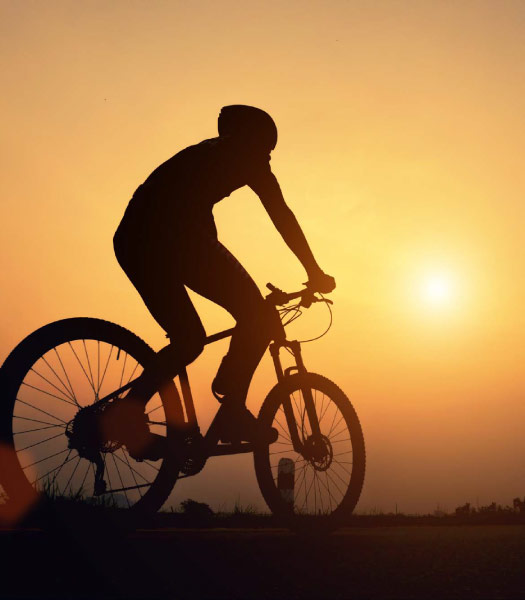 Fahrradverleih Fahrradverleih